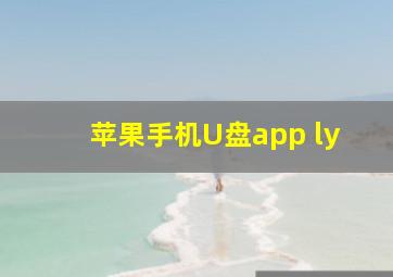 苹果手机U盘app ly